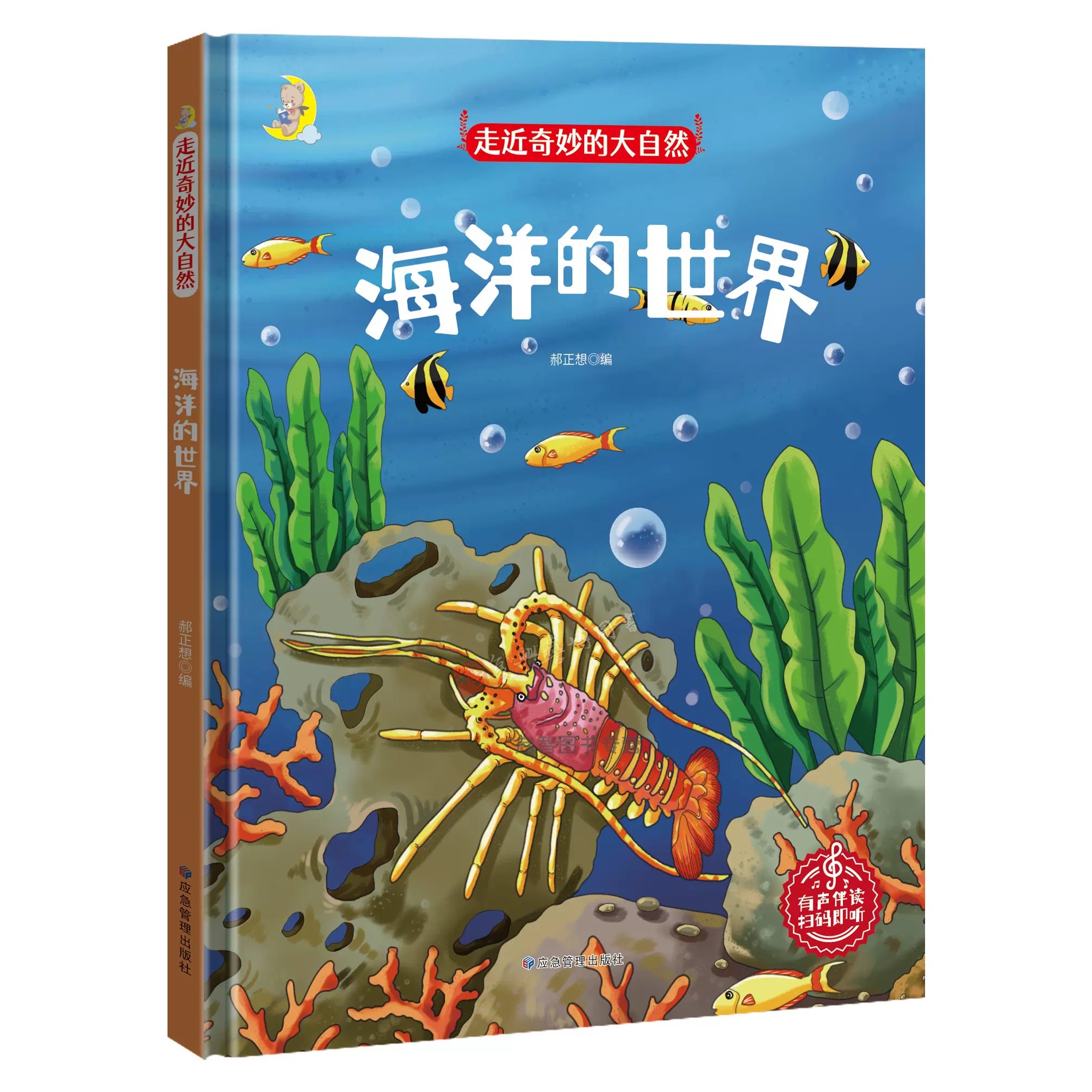 精装硬壳硬面绘本 走近奇妙的大自然 海洋的世界 儿童科普类绘本幼儿园大中小班3-6岁亲子阅读睡前图画故事扫码有声读物 亲子共读