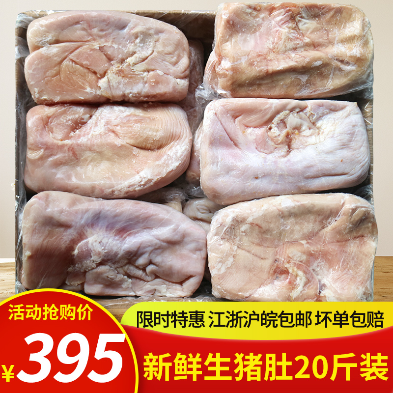 新鲜冷冻猪肚 纯干去油生猪肚国产猪肚大肚 20斤 江浙沪皖包邮