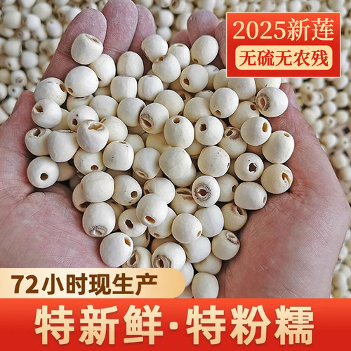 2025湘莲上市！72小时生产特粉糯