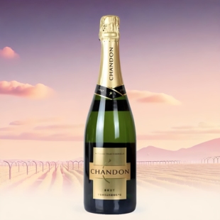 宁夏贺兰山 夏桐Chandon Brut传统工艺天然高泡起泡酒 750ml 2019