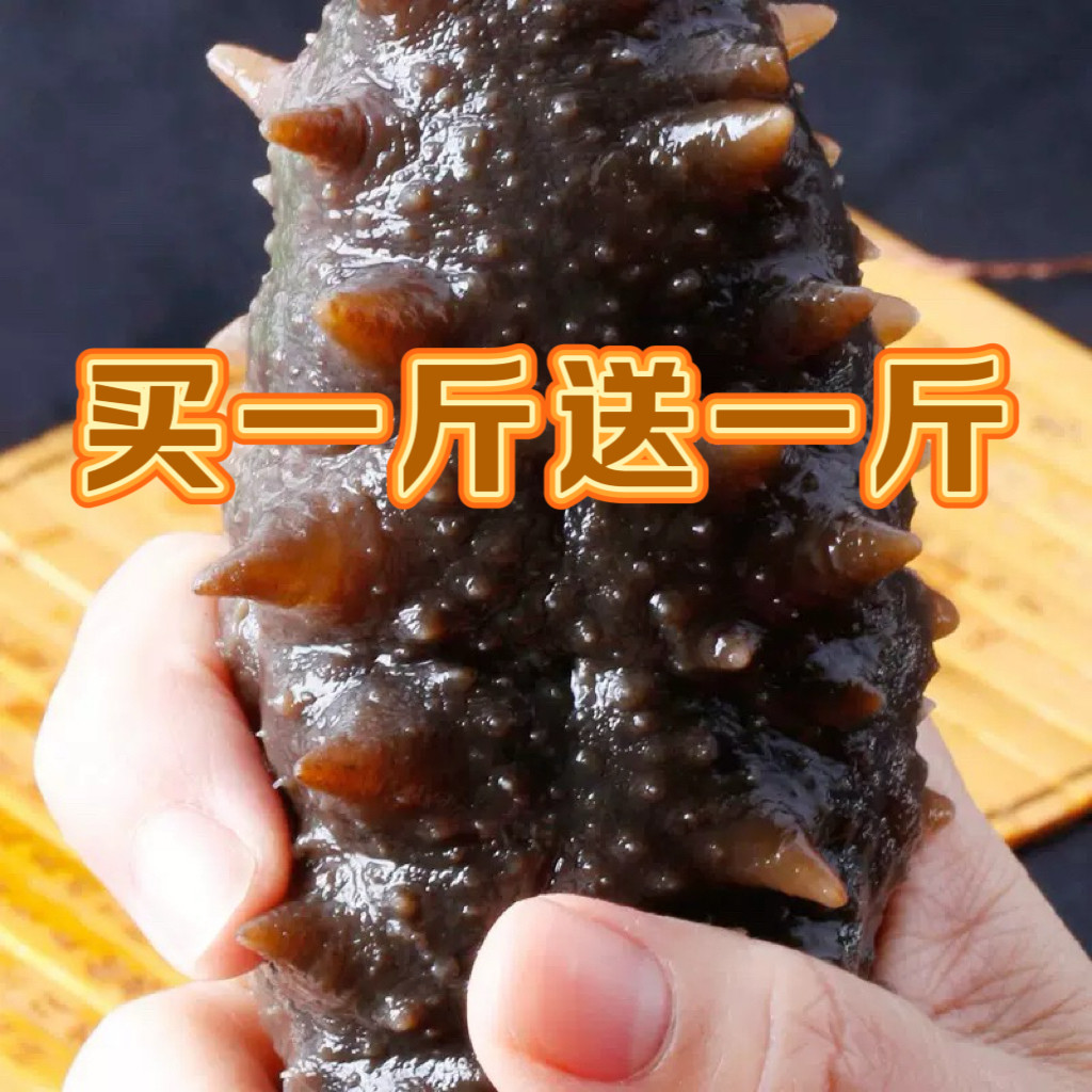 大连大火候500g特价刺刺刺参海
