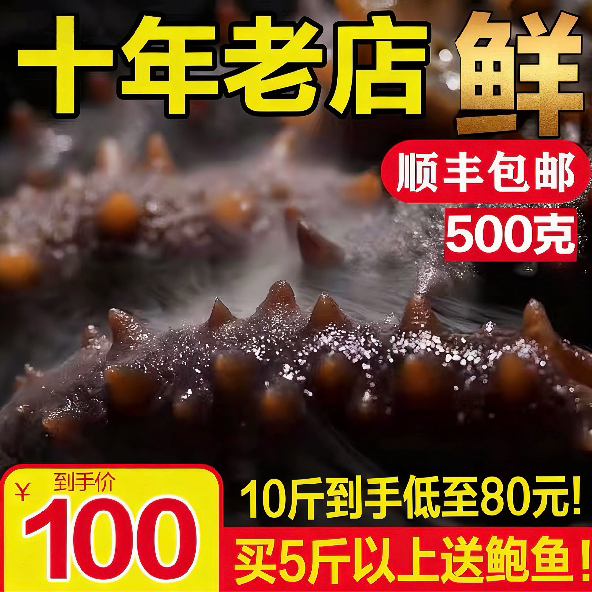 刺参500g辽宁新鲜单个装即食海参