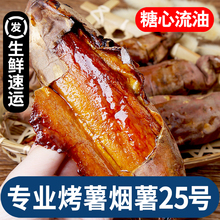 山东烟薯25号蜜薯5斤糖心红薯新鲜番薯农家沙地烤地瓜农科院山芋