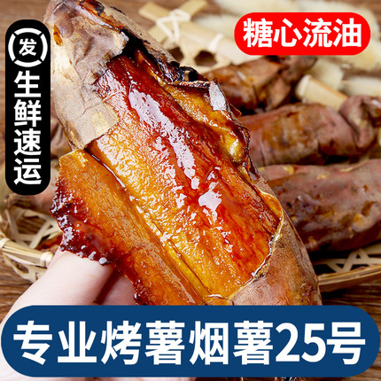 山东烟薯25号蜜薯5斤糖心红薯新鲜番薯农家沙地烤地瓜农科院山芋