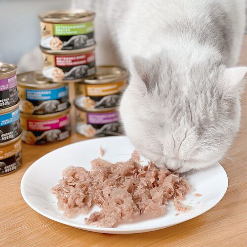 日本Sheba希宝猫罐头白肉汤汁软啫喱金罐85g营养零食24罐