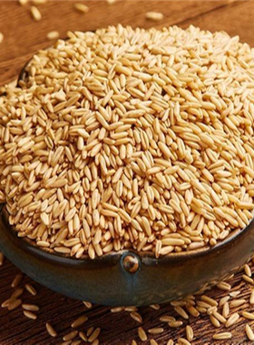 甘肃会宁特产小杂粮莜麦5斤高原旱地莜麦粒粗粮农家自产新货油麦