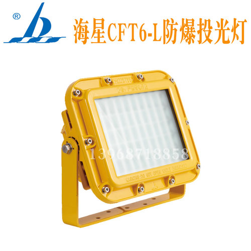 海星CFT6-L LED防爆投光灯航空铝合金220V100W防爆标识ExdⅡCT6Gb