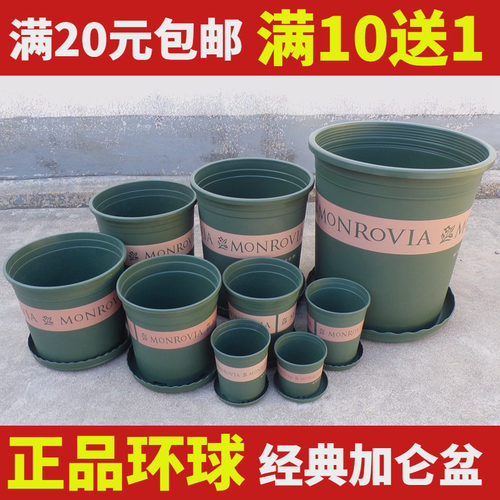 环球正品月季玫瑰特大码多肉盆