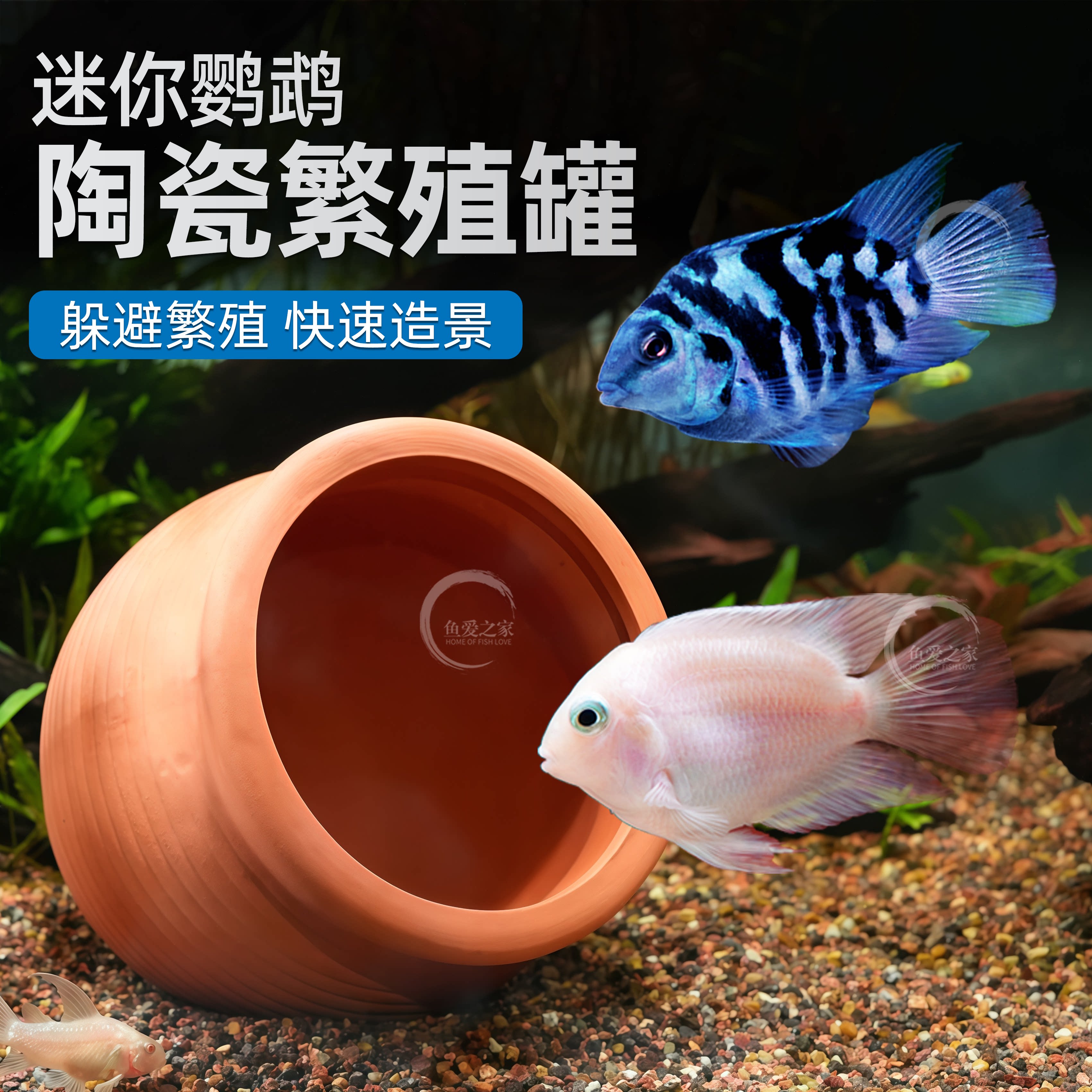鱼缸造景陶罐躲避洞鱼虾躲避屋慈鲷迷你鹦鹉鱼繁殖屋产卵虾窝异形