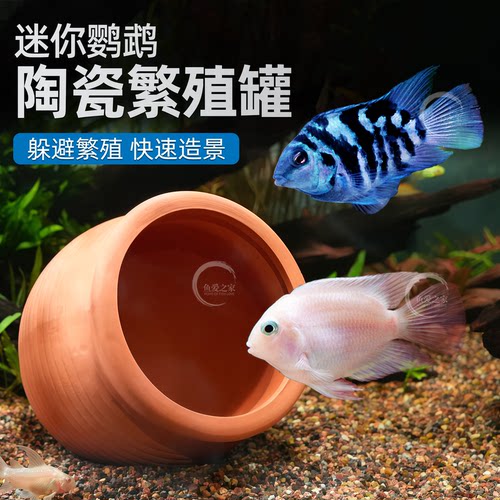 鱼爱之家陶瓷造景躲避屋繁殖罐