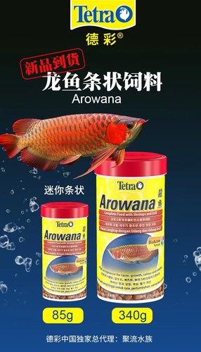 德国Tetra德彩龙鱼饲料