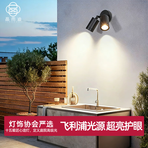 双头壁灯户外防水大功率射灯LED