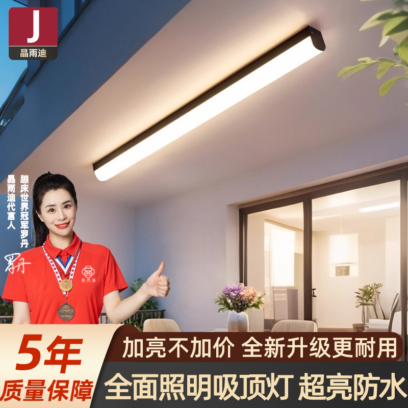 阳台照明灯长条吸顶灯户外防水防蚊虫室外壁灯玻璃温室专用灯