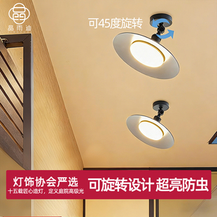 户外吸顶灯防水防虫室外屋檐庭院别墅阳台灯新款玻璃阳光房专用灯
