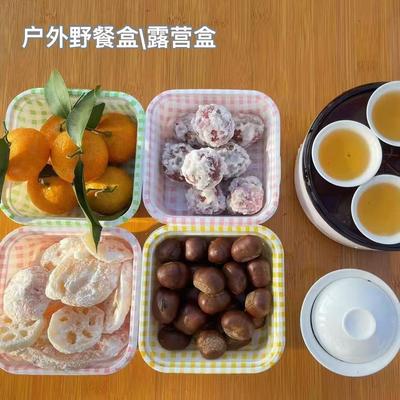 一次性塑料户外旅游春游露营野餐