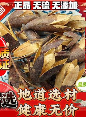 精选无硫香椿果椿树子椿芽树花春尖花香椿子春树子春树籽中药