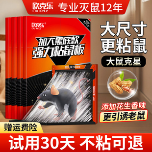 老鼠粘强力粘鼠板胶抓大老鼠贴家用灭捕鼠神器黏鼠板非药夹扑捉器