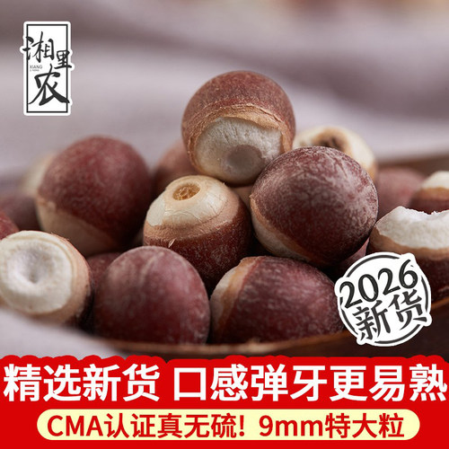 精选大颗粒肇庆芡实500g