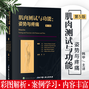 北京科学技术出版 社 主译韩甲 肌肉测试与功能姿势与疼痛第5版 按摩健身热身锻炼参考工具 第五版 书