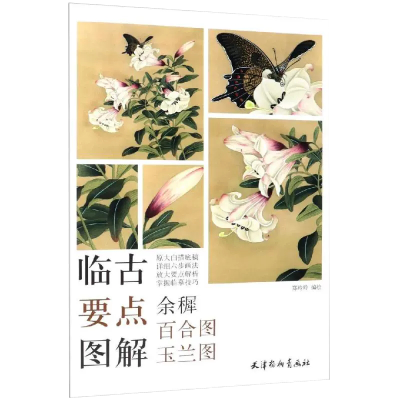 【书】临古要点图解（余穉百合图玉兰图）郑玲玲编绘 国画玉兰花临摹技法原大白描底稿工笔百合花卉画法步骤详解