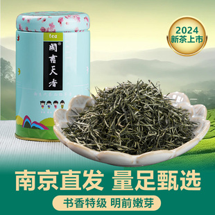 南京雨花绿茶书香250克 茶叶 25年明前特产早春头采高山嫩芽铁罐装