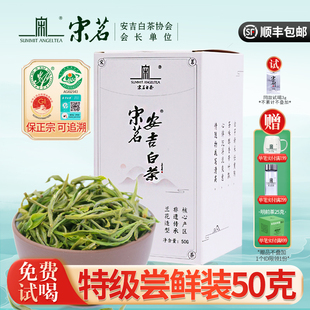 2025新茶上市宋茗明前安吉白茶春茶特级口粮茶绿茶特产茶叶50g
