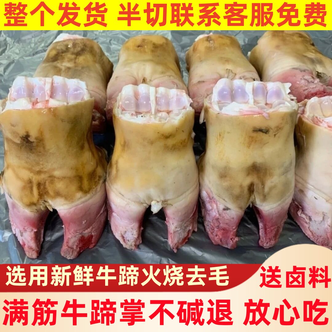 顺丰发货新鲜火烧牛蹄掌满筋