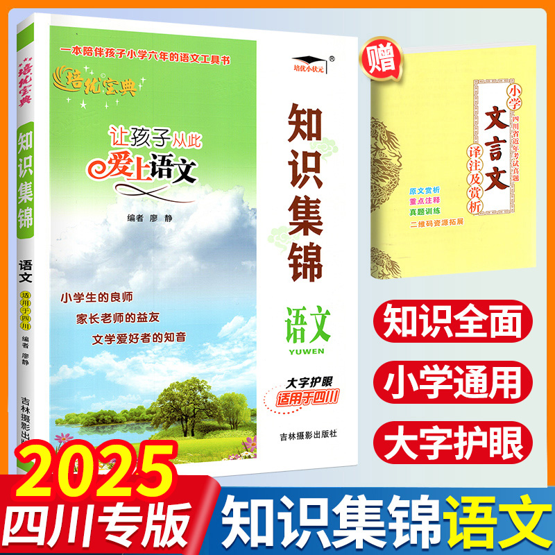 小学语文知识集锦四川专版知识大集结培优宝典让孩子从此爱上语文小学生四五六年级语文重点知识锦集小升初总复习基础知识手册大全