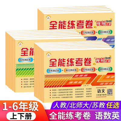 全能练考卷上下册正版