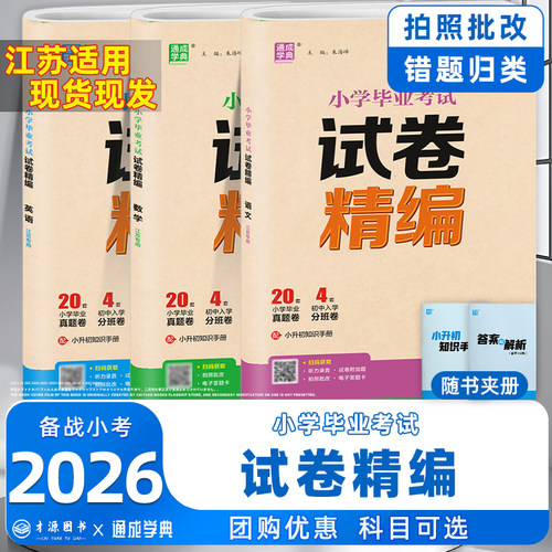 小学毕业考试试卷精编通成学典
