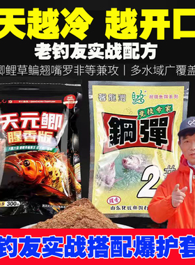 武汉天元邓刚天元鲫腥香钢弹2号鲫鱼饵料秋冬季开口野钓鲫鱼饵料