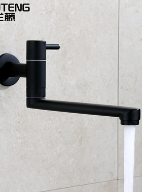 兰藤铜黑色加长单冷入墙式厨房阳台洗衣池拖把池水龙头家用可旋转