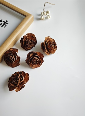 【雪松果】天然植物木玫瑰手工DIY创意摆饰拍摄道具花幼儿环创