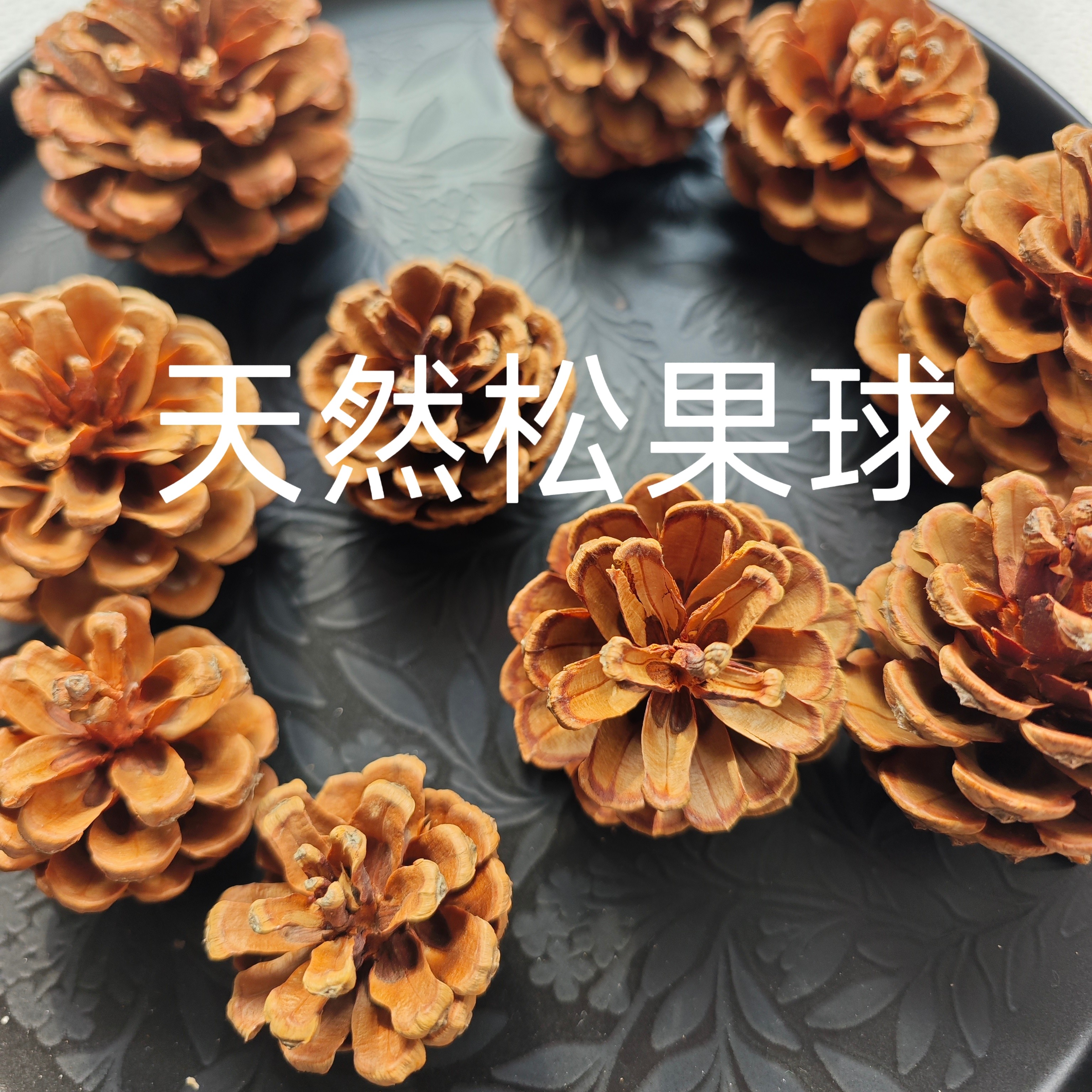 松果装饰干花天然松球干花包幼儿园手工DIY摆件工艺品道具,家居饰品,干花/花瓣/干花包/干树枝,淘宝优惠券,粉丝福利购,淘宝优惠卷