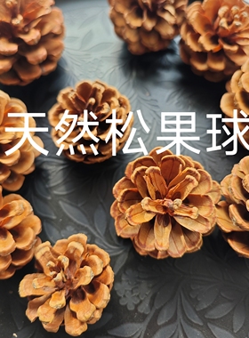 圣诞节松果装饰手工材料