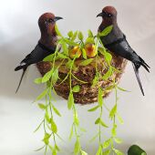 饰品软装 美陈装 遮瑕仿真小鸟 饰仿真燕子小鸟燕窝巢鸟窝春季 墙上装