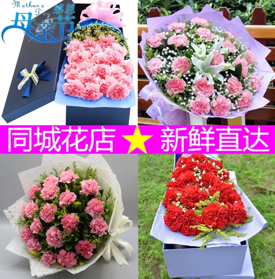 母亲节妈妈长辈生日康乃馨百合花束东莞市横沥寮步镇同城鲜花速递