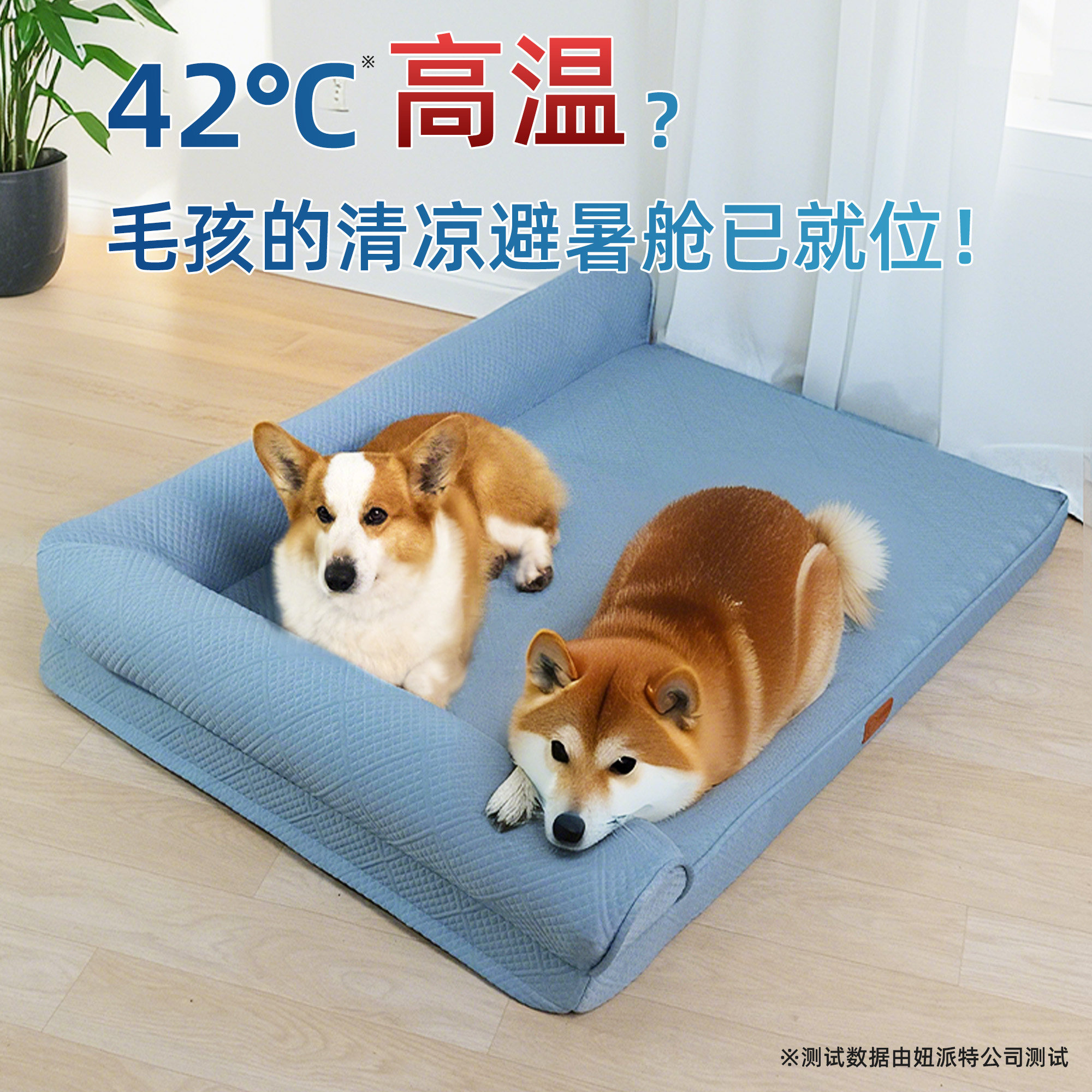 ˫������--ӣ���� S-С�� newpet����ع��������ļ�ɳ����