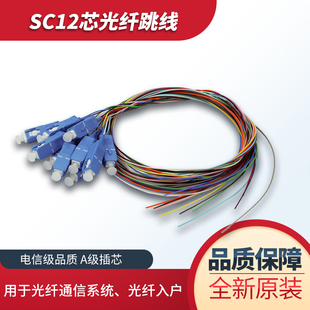 12芯单模多模尾纤LC FC SC束状尾纤 光纤跳线延长线万兆光纤跳线