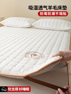 家庭用床垫南方防潮防霉床褥子垫单人不塌陷不变形被褥铺底可折叠