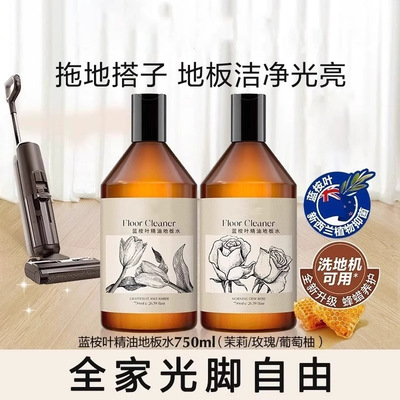 蓝桉叶精油香氛地板清洁剂木瓷砖
