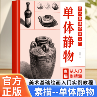 29个实例教程单体静物素描基础知识讲解 素描从入门到精通 果蔬类 陶瓷类静物 静物等 美术基础绘画入门 透明半透明 单体静物