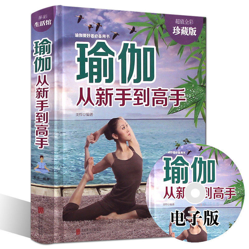 完成高难度动作 瑜伽从入门到精通 练习多彩生活 健身瑜伽爱好者书籍
