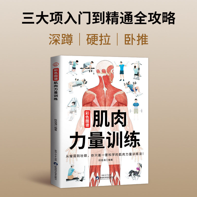 肌肉力量训练彩色图谱正版 肌肉力量训练解刨图谱 健身教程教练体能减脂肌肉健美训练 人体肌肉结构解剖健身书籍肌肉力量训练图谱