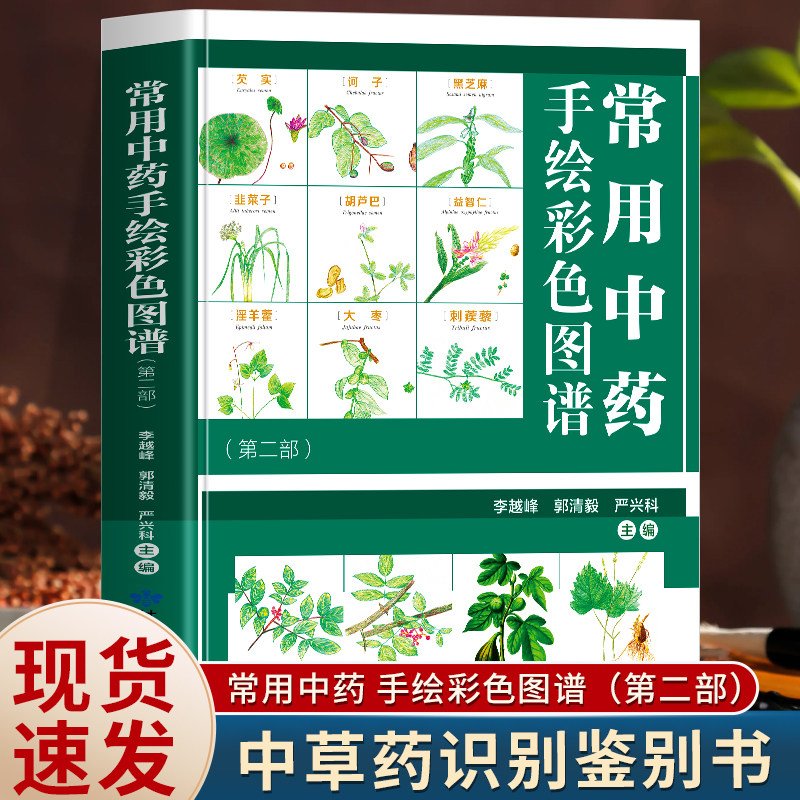 全新正版常用中药手绘彩色图谱（第二部）正版书籍中医养生保健中医学入门图书籍精选300余种常用中药材草药识别鉴别中医阅读书籍