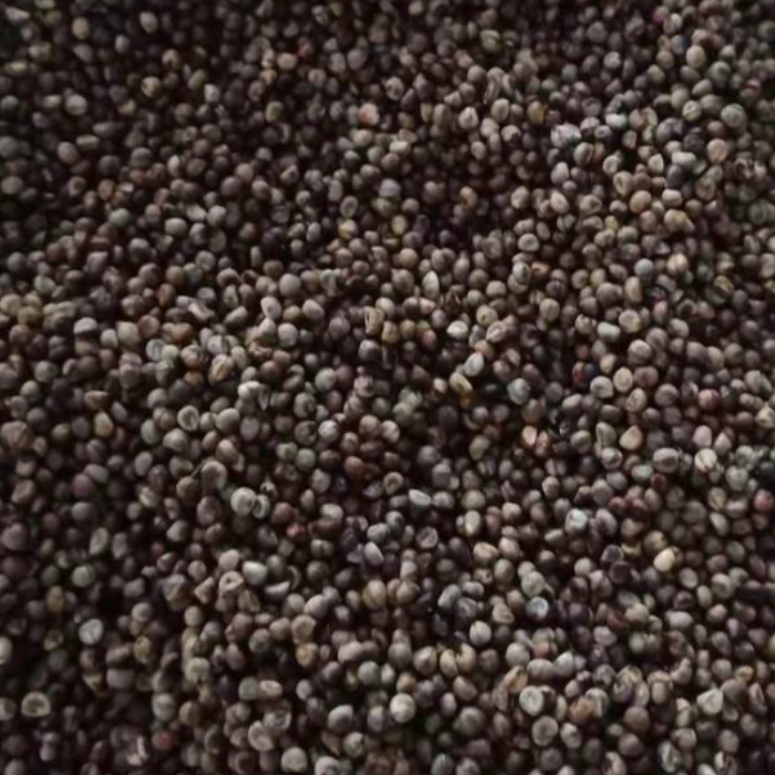 白蔹种子种苗蛇葡萄山地瓜野红薯五爪藤根白敛中草药材苗