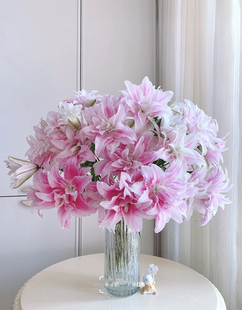 （伊莎贝拉）重瓣香水百合高端水养鲜切花云南基地直发