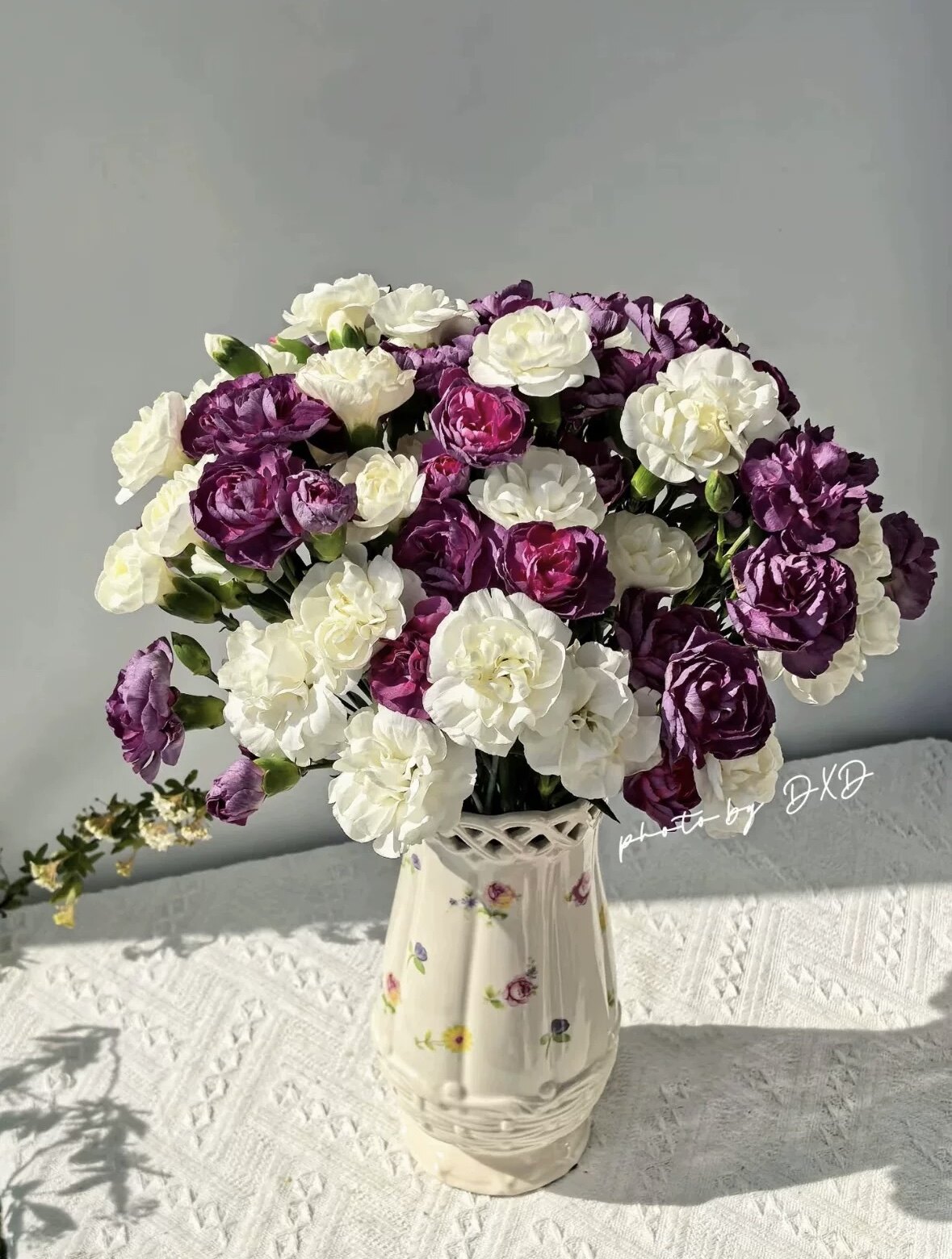 康乃馨鲜花云南基地直发鲜切花真