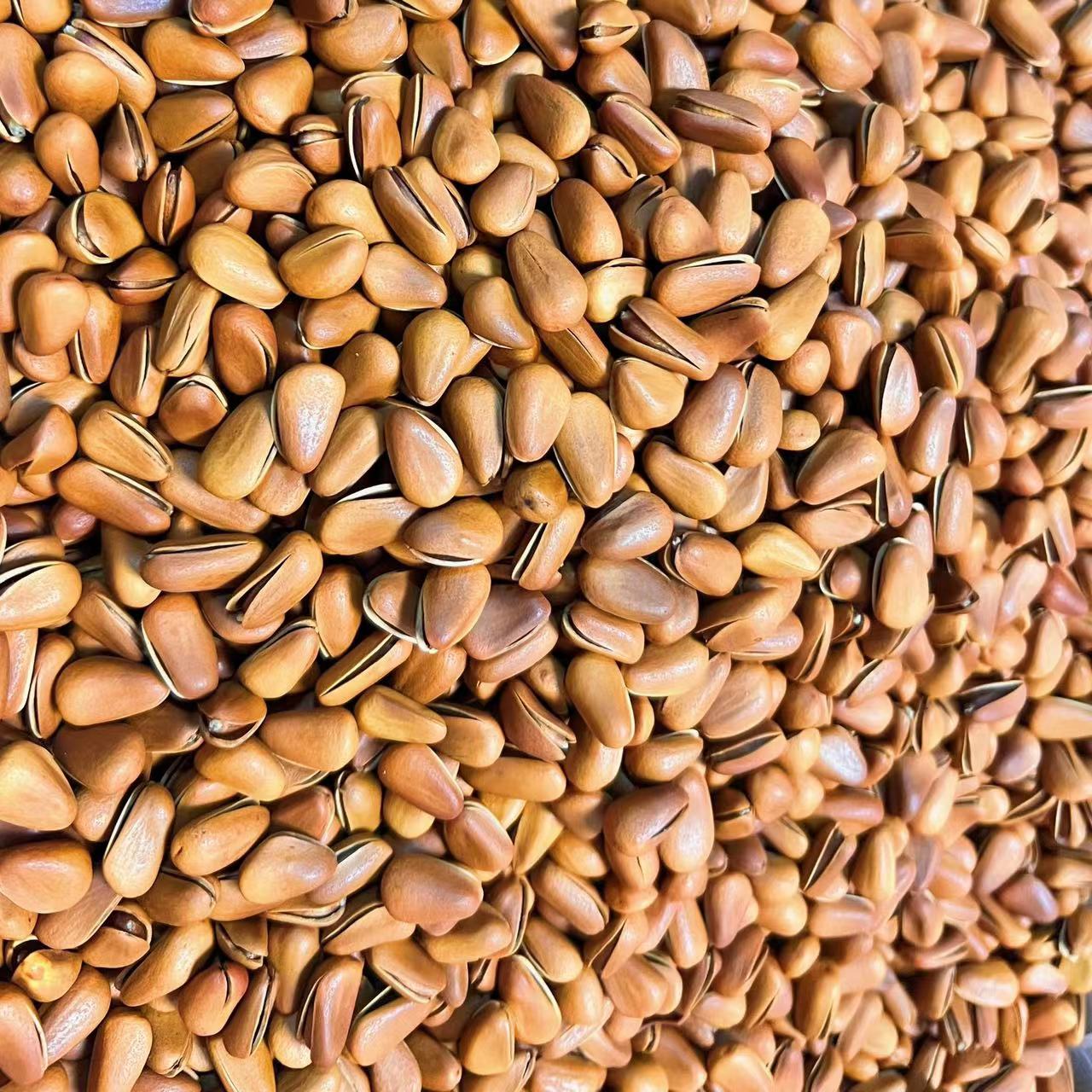 果冻精选大颗粒松子精品年货