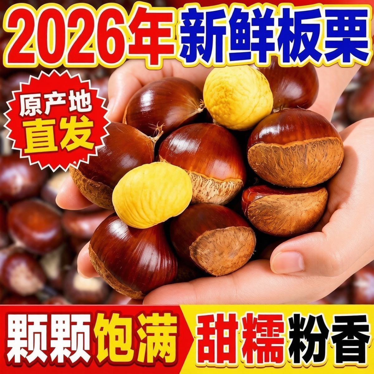 2026新鲜板栗丹东5斤鲜栗子生大嫩板粟锥栗野生批发 新油板栗仁